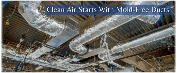 Air Duct Mold Removal in Cypress