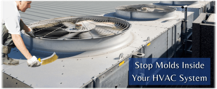 HVAC Mold Removal Cypress